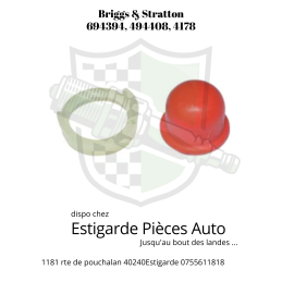 Briggs & Stratton Bulle d’amorçage