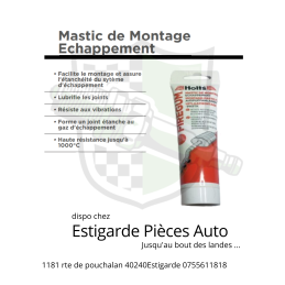 Mastic montage échappement 150 gr GUNGUM