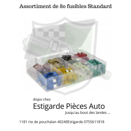 Assortiment de 80 fusibles Standard