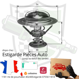 Thermostat / Calorstat de circuit de refroidissement Maxity 2.5 Dxi