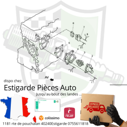 Thermostat / Calorstat de circuit de refroidissement Maxity 2.5 Dxi