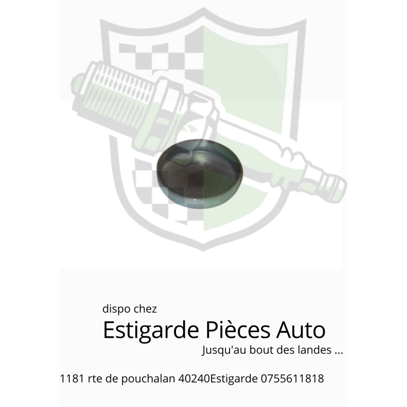 Pastille de dessablage 20 mm A Pastille de dessablage 20 mm A