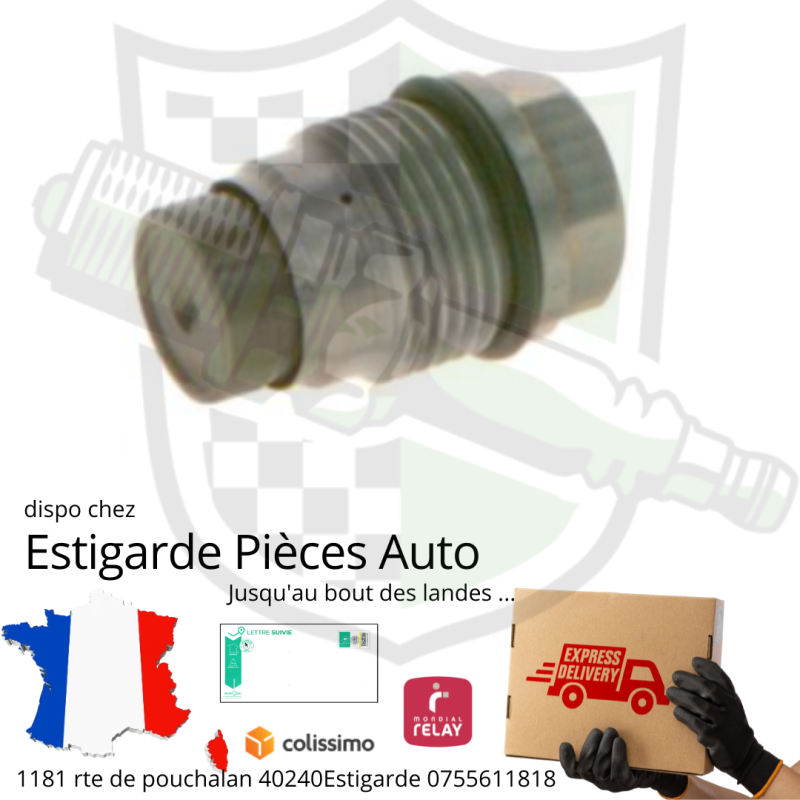 Soupape de décharge de la rampe d'alimentation en carburant Soupape de décharge de la rampe d'alimentation en carburant