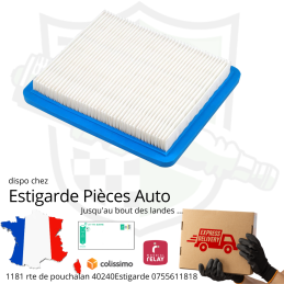 Filtre à air Briggs et Stratton