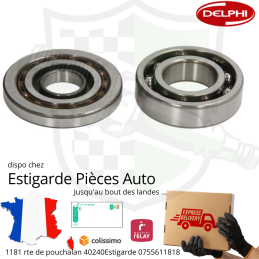 Kit De Roulements De Pompe DPC r8448b182c version origine Delphi