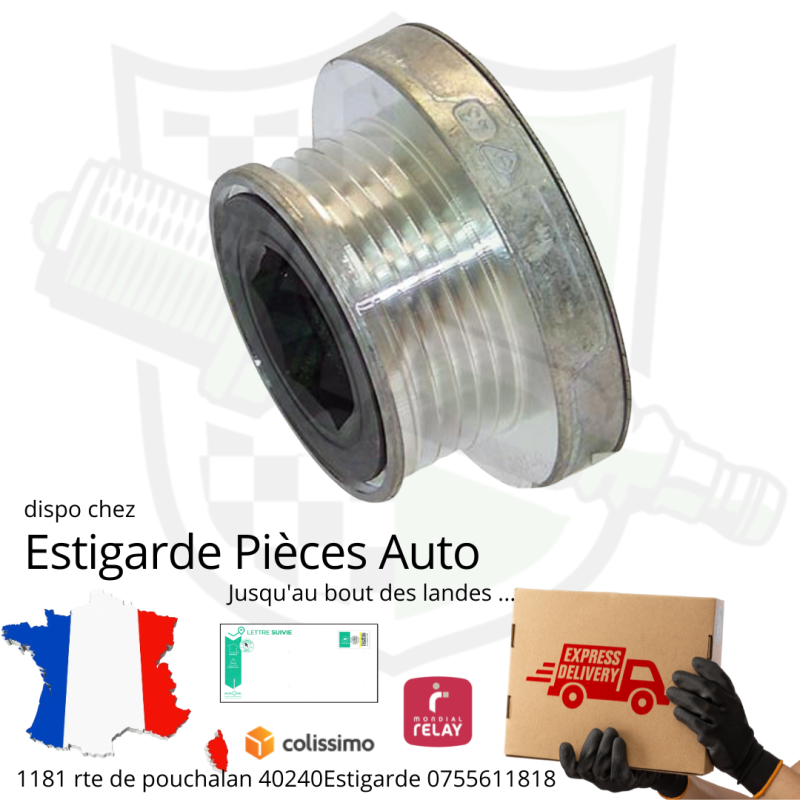 Poulie type Damper Renault