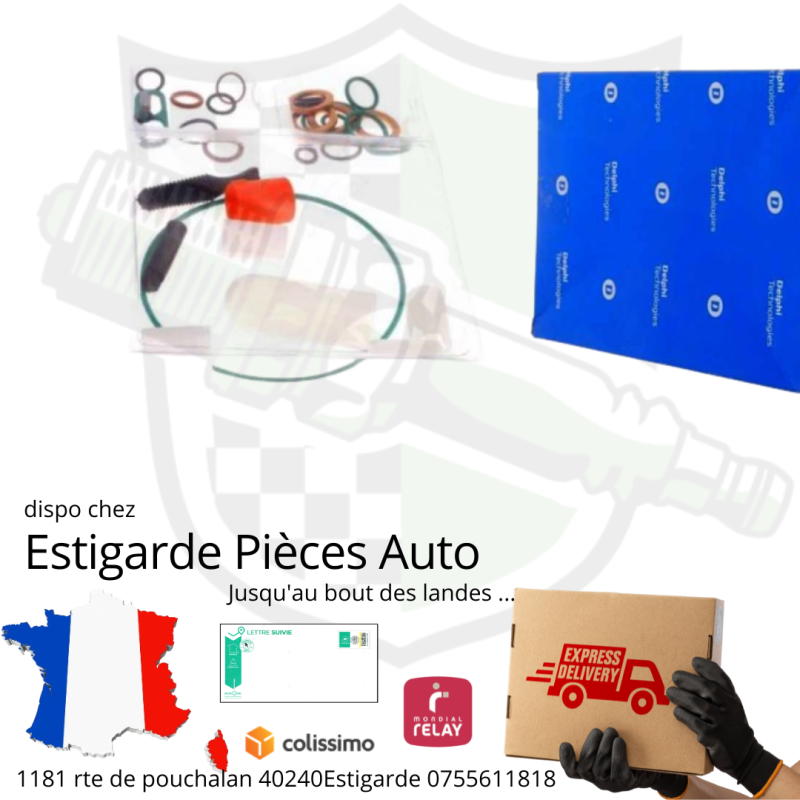 kit de joints pour réparation pompe à injection Delphi