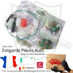 kit de joints pour réparation pompe à injection Delphi