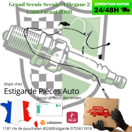 tuyau alimentation carburant 1.5 DCI grand scenic scenic et megane 2