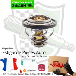 CALORSTAT XUD9 - DW8 - DW10 83°