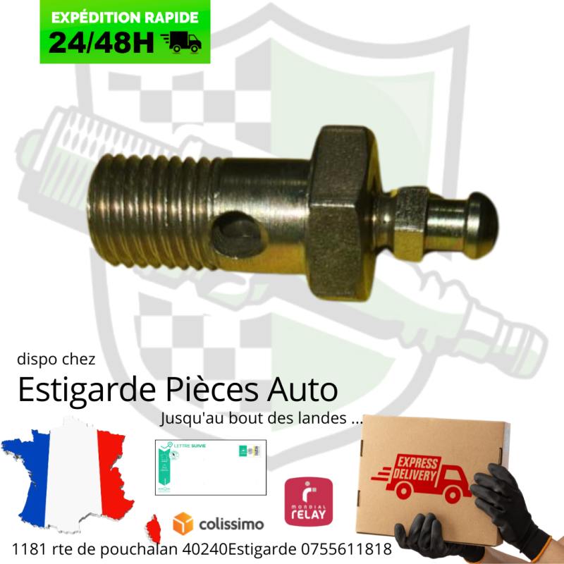 Vis creuse avec purge au choix