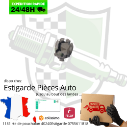 AGRAFE D EMETTEUR D EMBRAYAGE DUSTER / MASTER / KANGOO ORIGINALE(blanc) OU ADAPTABLE(noir)