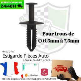 Agrafe de carrosserie universelle pour trous de base 6,5 mm à 7,5mm vente à l'unité
